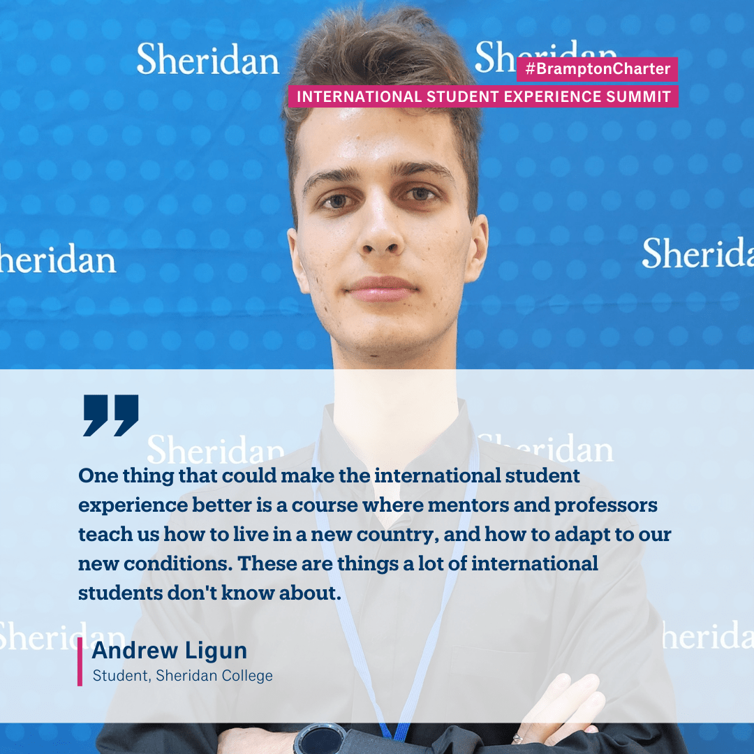 Brampton Charter for Improving the International Student Experience ...