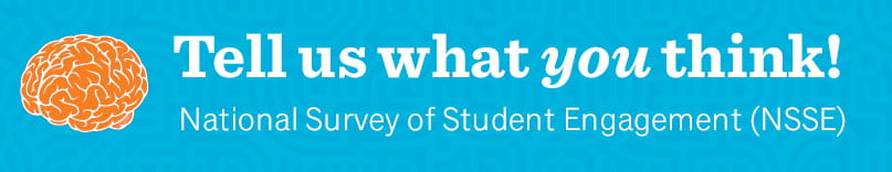 National Survey of Student Engagement
