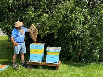 Ted Parkes at the beehives he has helped install on Trafalgar Campus.