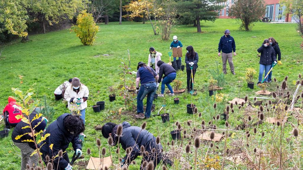 Volunteers from Sheridan's Mission Zero planting trees